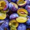Őszi gyümölcsbefőzés naspolyából, szőlőből, szilvából