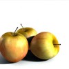 A sikeres almatárolás titkai