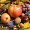 Őszi csemegék: alma, dió, szőlő