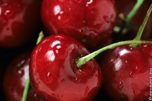 Melyek a legjobb cseresznyefajták? - cseresznyetermesztés Franciaországban