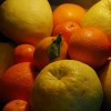 Hogyan ültessünk törpe citrusféléket?