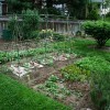 Tervezzük meg a saját kertünket! - 1. rész