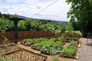 Tervezzük meg a saját kertünket! - 2. rész
