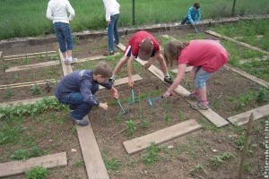 Biztonságos iskolakertek – egészséges talajokon!