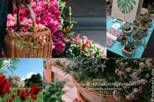 Hétvégére virágtengerré változik a Budai Arborétum