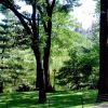 Világhírű parkok: A Central Park  10 legszebb virágos helye 1. rész