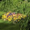 Bízza kertjét nyáron is a Scotts Díszpark műtrágyákra!