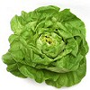 Fitneszeledel jó áron: érdemes fejes salátát (v)enni