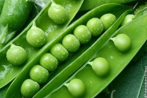 Patisszon és zöldborsó, egészséges zöldségcsodák