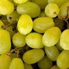Édes most a csemegeszőlő