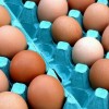 Jelöletlen tojásrakomány – mit szabad és mit nem