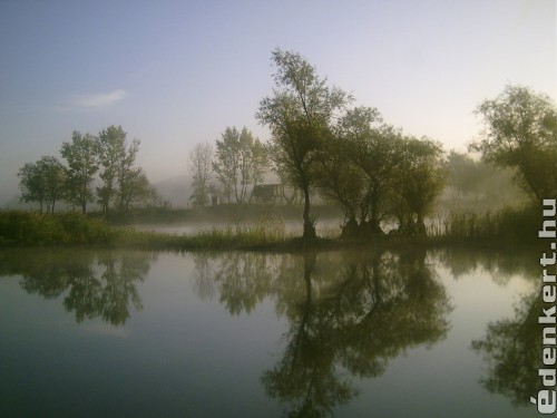 Ködös őszi időben