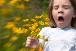 Több mint tíz allergén növény virágpora a levegőben