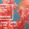 Virágkötők figyelem: 2019 év színe a pasztell korall