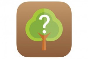 Fahatározó applikációt fejlesztett az Országos Erdészeti Egyesület