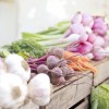 Szüreti praktikák a kisebb nitrát tartalmú zöldségekért